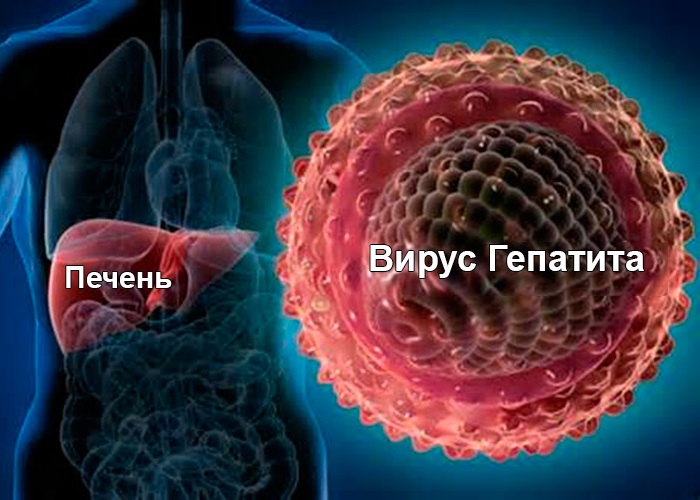 Билирубин высокий симптомы. Причины и последствия повышенного ...